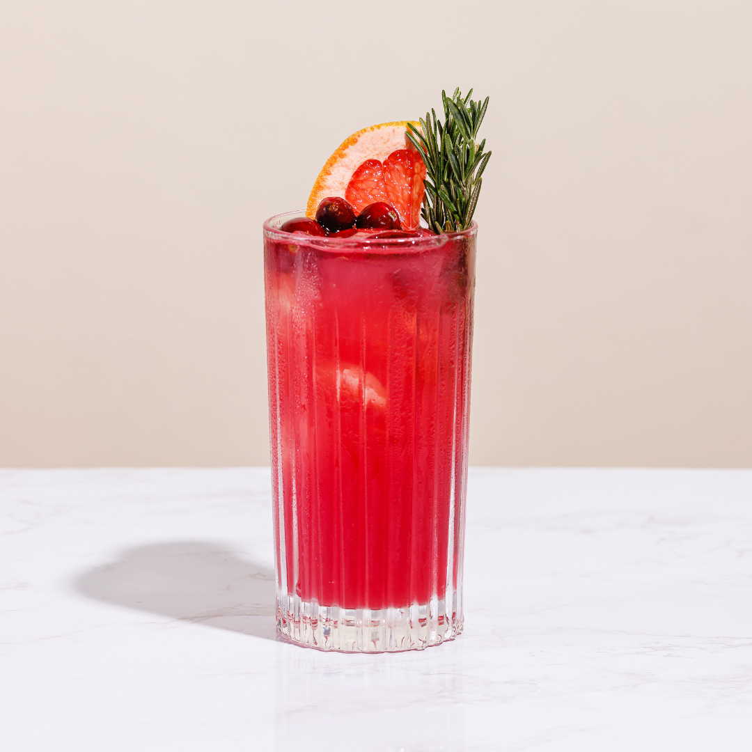 Winter Paloma