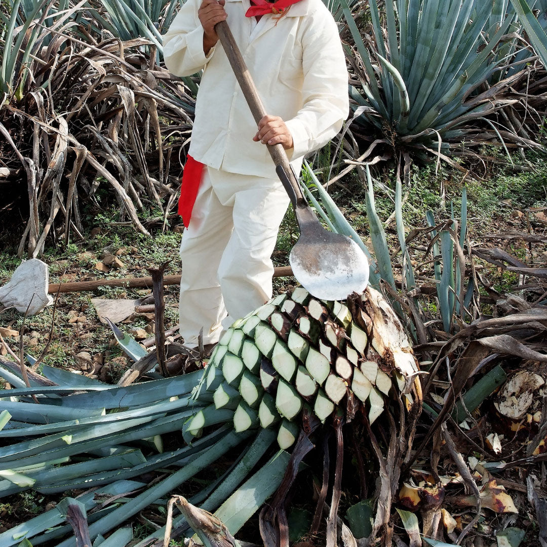 CRAFTING QUALITY TEQUILA